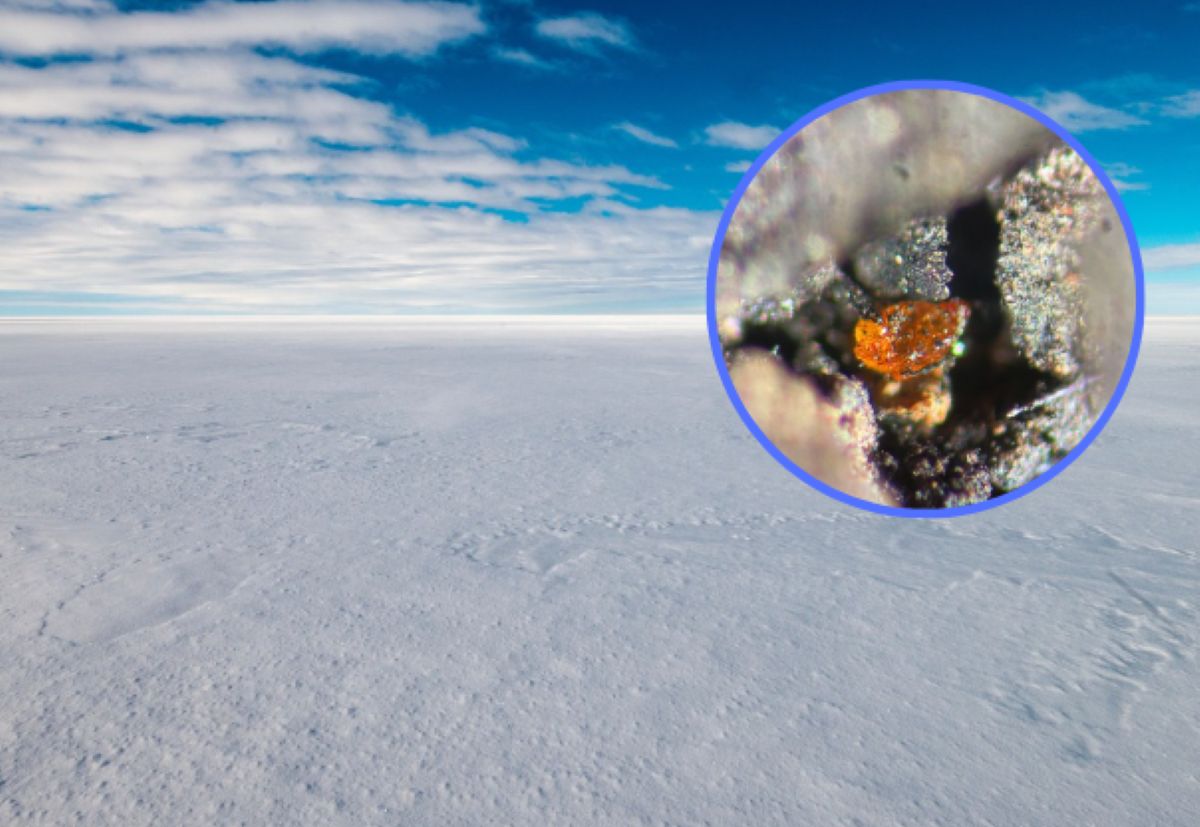A surprising discovery by scientists reveals the past of Antarctica.