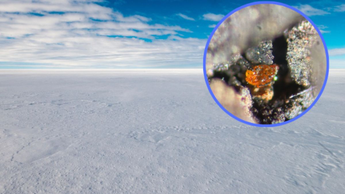 Zaskakujące odkrycie naukowców zdradza przeszłość Antarktydy