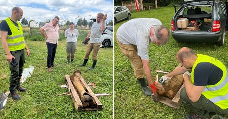 Sensacyjne odkrycie na brzegu rzeki w Małopolsce. Wędkarz trafił na kość mamuta