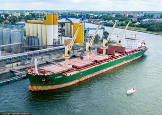 Nadwyżka zboża z Ukrainy. "Doprowadziło do tego kilkanaście firm"