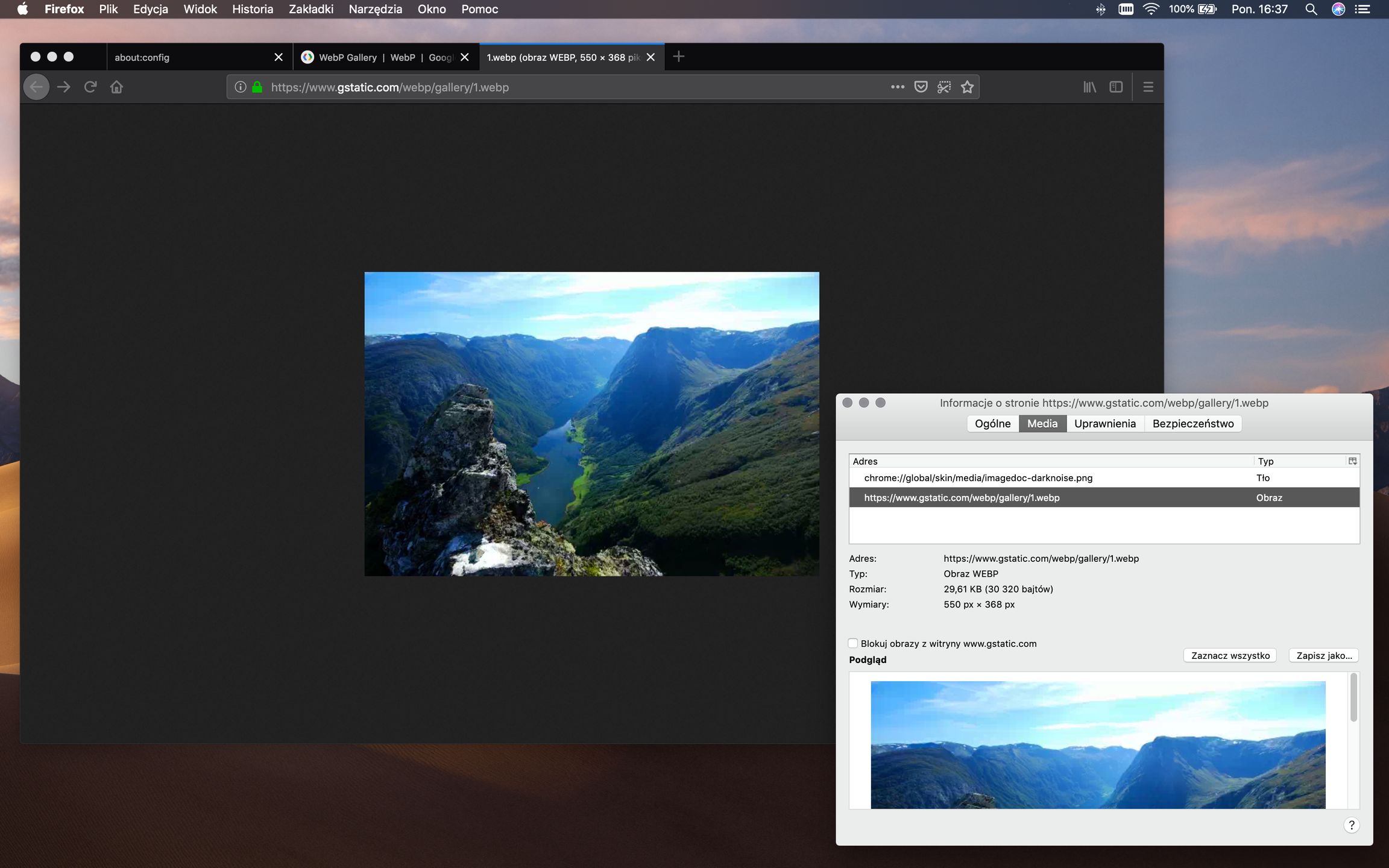 przykładowy plik WebP otwarty w przeglądarce