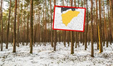 Nagły atak zimy w kwietniu. Zasypało śniegiem