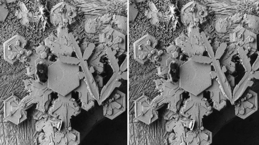 Trójwymiarowe płatki śniegu pod mikroskopem elektronowym 1