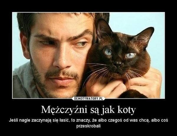 Dzień Mężczyzny 2026, memy