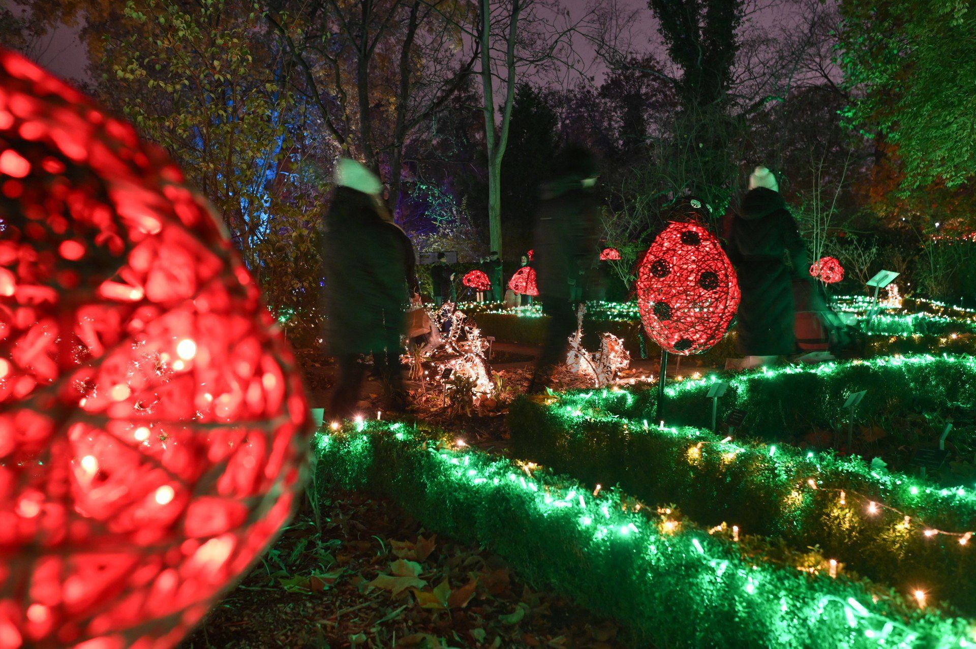 Magiczny Botaniczny rozbłyśnie po raz 5.