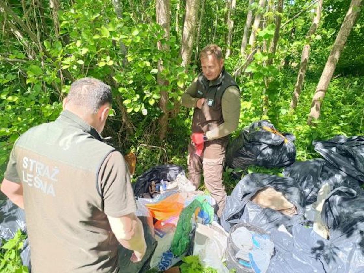 Wystarczyło 36 minut. Błyskawiczna akcja Straży Leśnej z Zaporowa