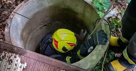 Śląsk. Gdyby nie oni, mały kotek pewnie by sobie nie poradził