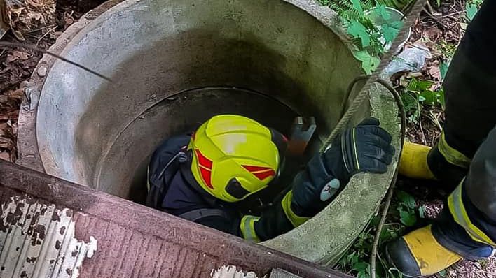 Mały kotek utknął w 7-metrowym szambie, teraz jest już bezpieczny