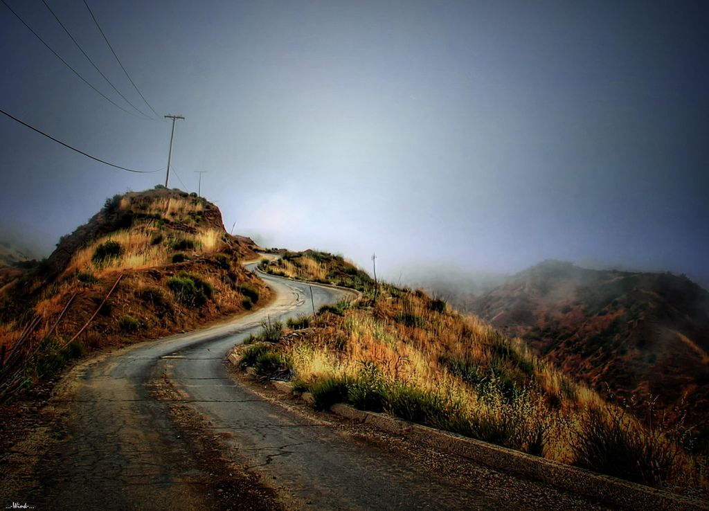 fot. ...-Wink-..., lic. CC