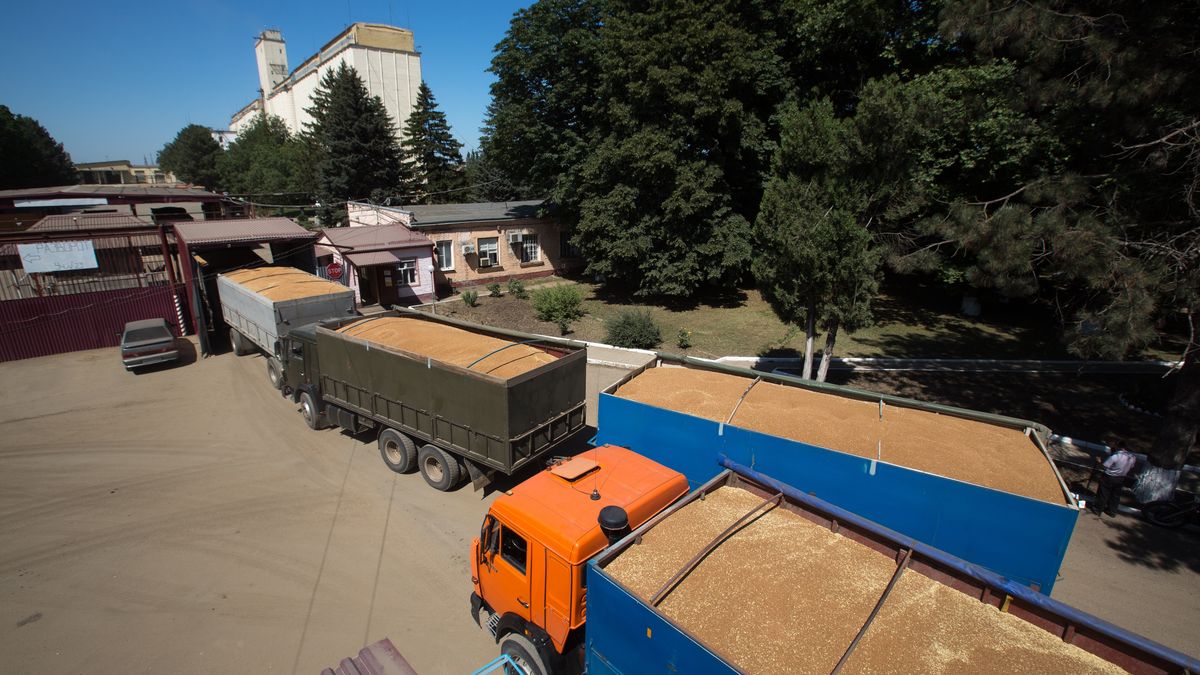 Pięć unijnych krajów chce embarga na zboże z Rosji i Ukrainy. Na zdjęciu ciężarówki z ziarnem czekające na rozładunek w Kraju Krasnodarskim, 2020 rok