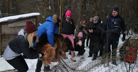 NIK wkracza do Sobolewa. Rusza kontrola po aferze w schronisku