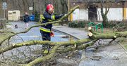 Ulewy w Szczecinie i regionie. Strażacy interweniują