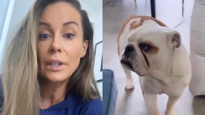 Małgorzata Rozenek martwi się stanem George'a po przeprowadzce