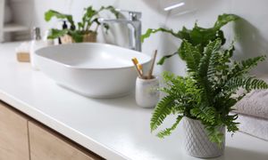 Jakie kwiaty postawić w łazience bez okna? Te rośliny sprawdzą się najlepiej