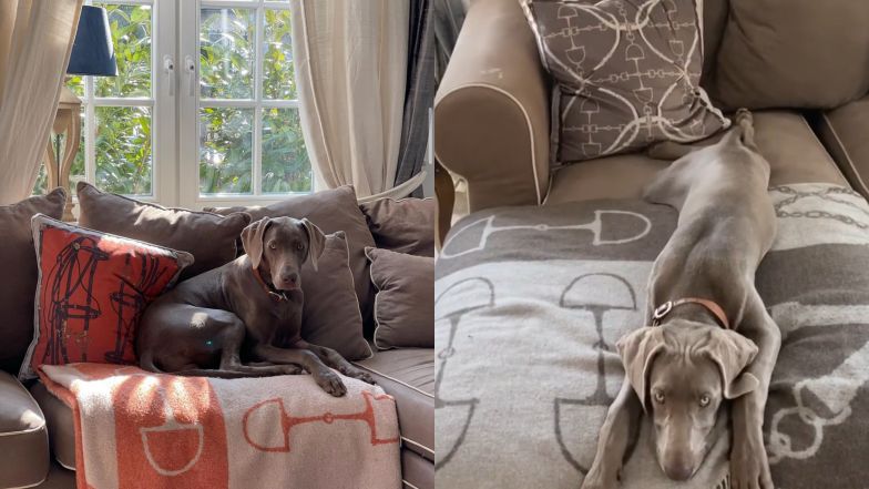 Dom Karoliny i Piotra Kraśko