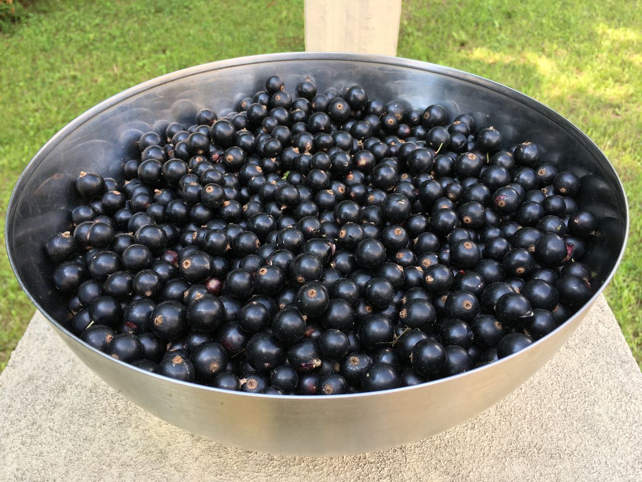 6 ciekawych pomysłów na czarną porzeczkę
