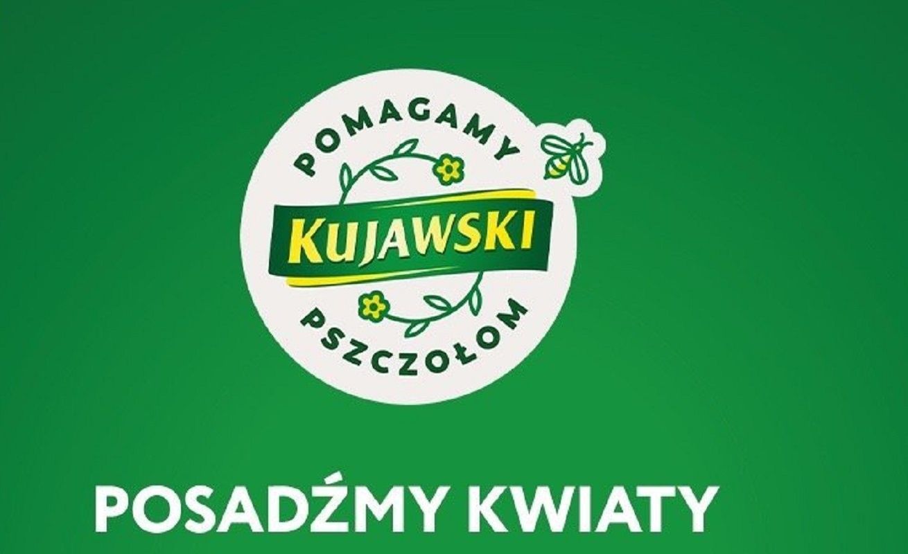 Marka Kujawski z kolejną akcją pomocy pszczołom