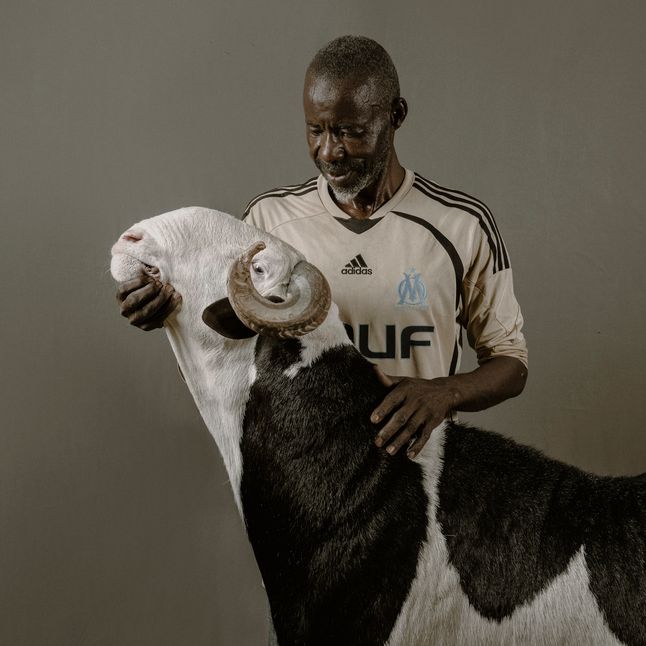 Joseph Ki-Zerbo, 18-miesięczny tryk rasy Ladoum, należący do Mohameda Secka. Pochodzi on ze stada Vizuri i ma 114 cm w kłębie.
