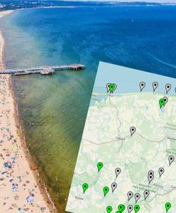 Sinice w Bałtyku. Złe wiadomości dla plażowiczów. Zamknięte pierwsze kąpieliska