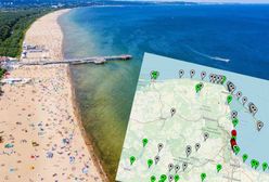 Sinice w Bałtyku. Złe wiadomości dla plażowiczów. Zamknięte pierwsze kąpieliska
