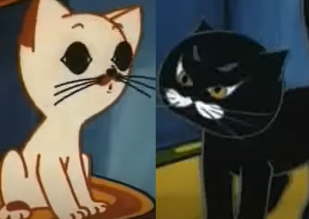 Dziwny świat kota Filemona. Jak dobrze znasz te słynną bajkę?