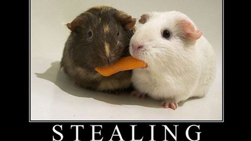 Nowy (stary) błąd w Internet Explorerze. Jak chronić się przed kradzieżą danych? 1