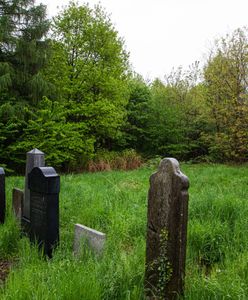 Bielsko-Biała. Tajemniczy Ogród na żydowskim cmentarzu. Unikalny przykład poszanowania dziedzictwa