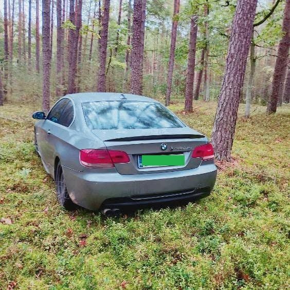 Nie podjeżdżaj w lesie "pod same grzyby" 