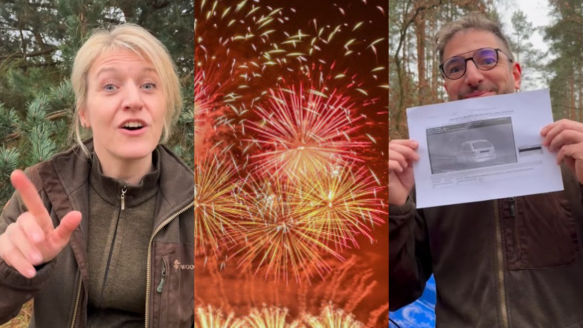 Lasy Państwowe dowcipnie, ale pouczająco o fajerwerkach