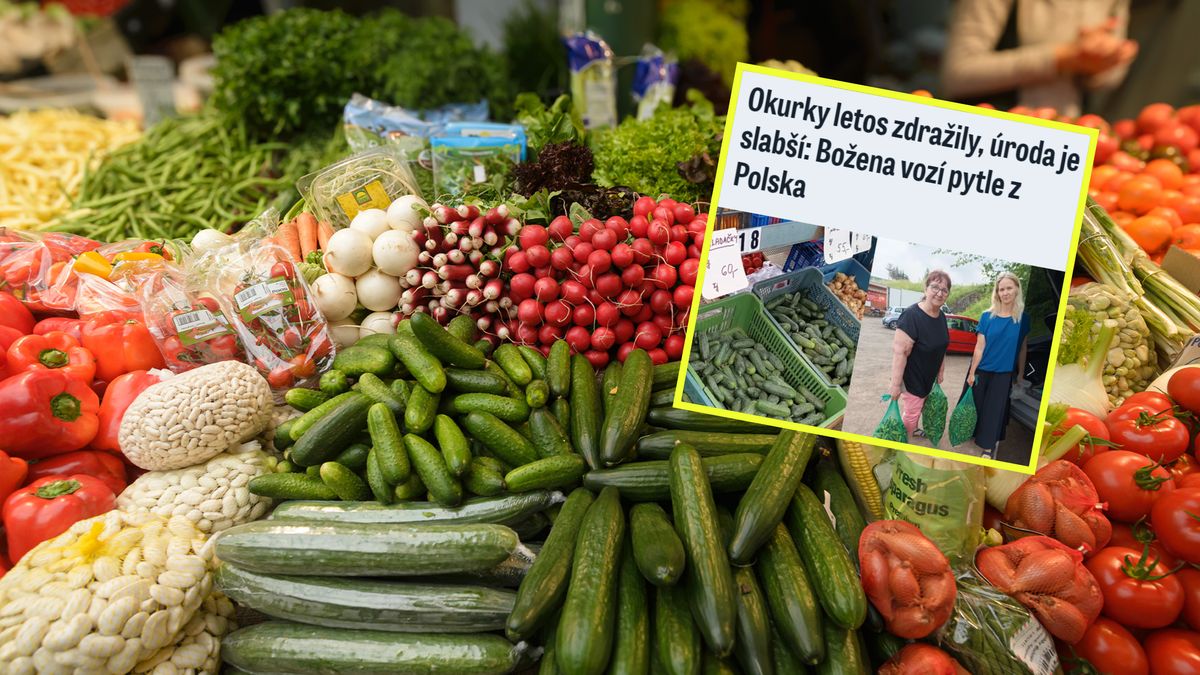 Czesi zachwycają się polskimi ogórkami