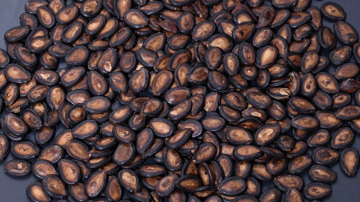 Prażone pestki z arbuza