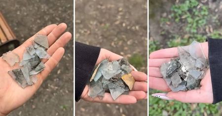 Niebezpieczeństwo w Parku Ludowym! Ktoś celowo rozrzuca szkło na wybiegu dla psów