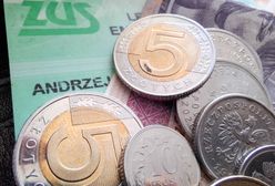 Nadchodzi nowy portal ZUS-u. Zastąpi dotychczasowy system