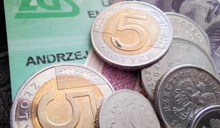 Nadchodzi nowy portal ZUS-u. Zastąpi dotychczasowy system