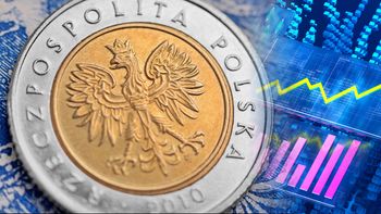 Tak złoty reaguje na decyzję Moody's. Padła ważna prognoza