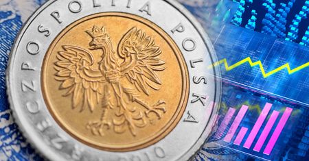 Tak złoty reaguje na decyzję Moody's. Padła ważna prognoza