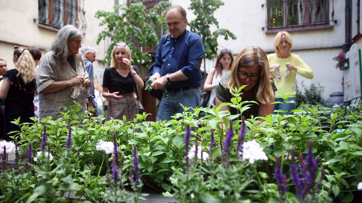 Sadzenie roślin podczas otwarcia Ogrodu Społecznego przy Magistracie w Krakowie