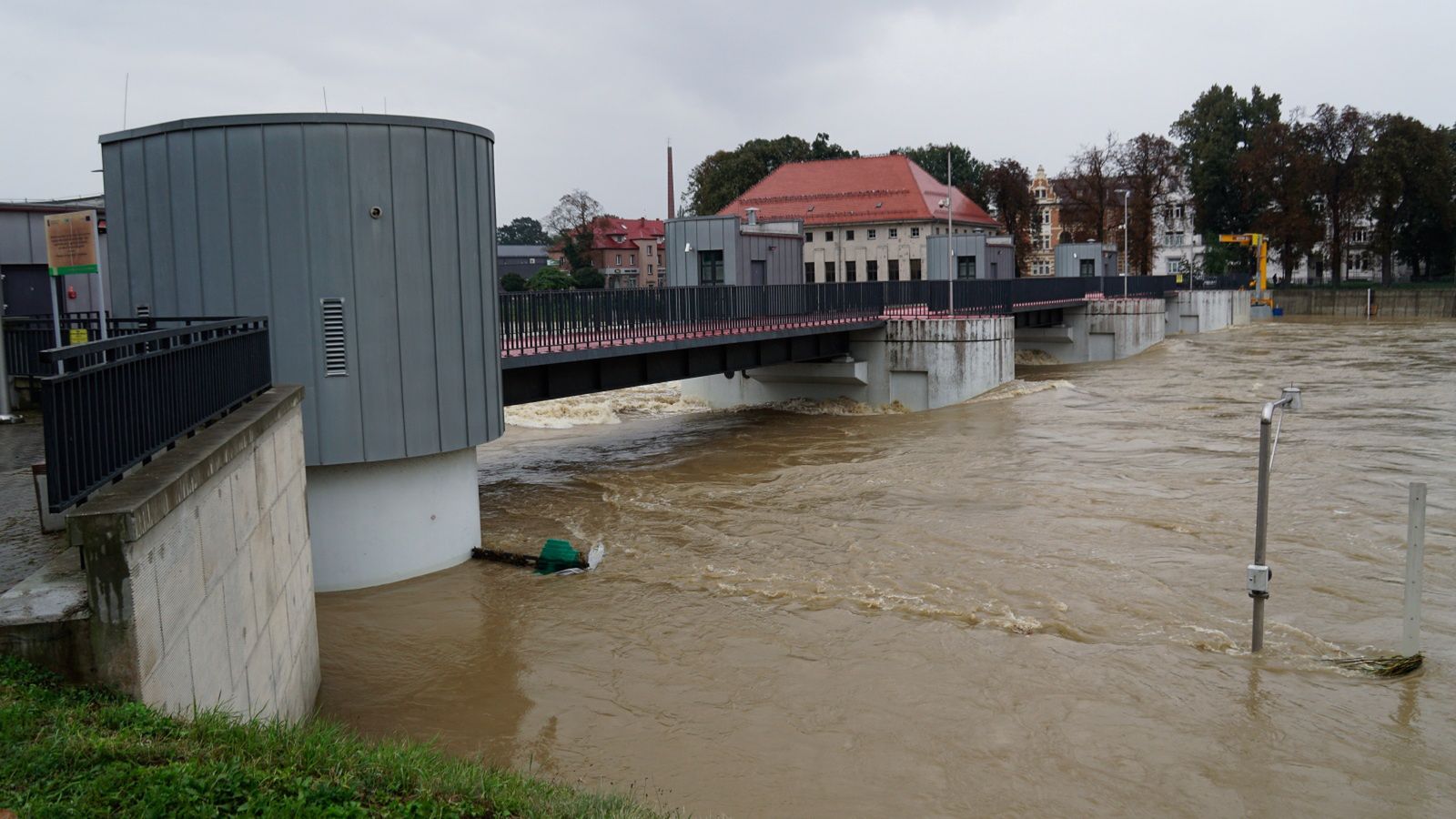 "Plaga" w Nysie. Mieszkańcy donoszą z niepokojem