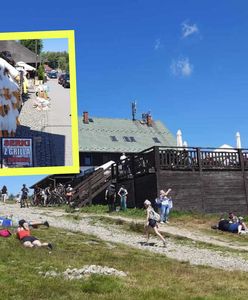 Gęś Pipa i bigos ze "złota". I to nie jest Zakopane