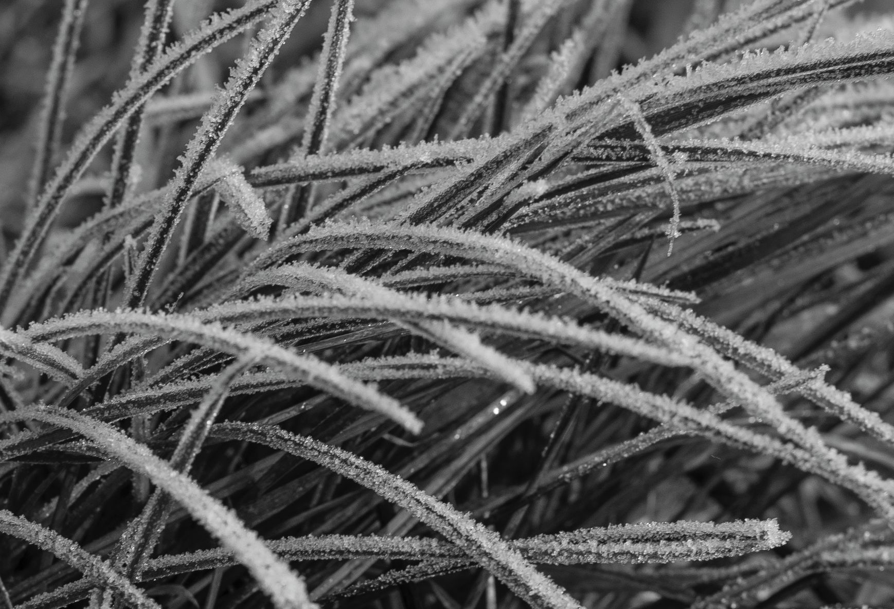 Voigtländer VM 50 mm f/1.1 Nokton - bardzo jasna pięćdziesiątka, która kreuje własną rzeczywistość [test] 41