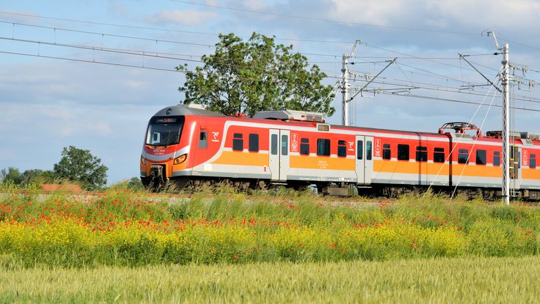 Nietypowe znaleziska w pociągach Polregio. W niektóre aż trudno uwierzyć