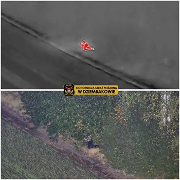 Nocne poszukiwania w powiecie sierpeckim. 54-latka znaleziono śpiącego w polu kukurydzy!