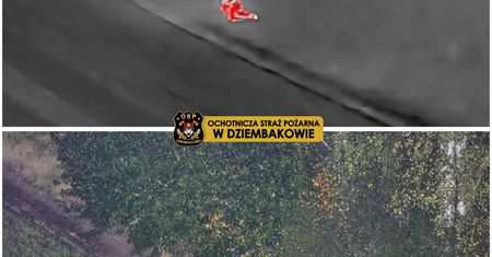 Nocne poszukiwania w powiecie sierpeckim. 54-latka znaleziono śpiącego w polu kukurydzy!