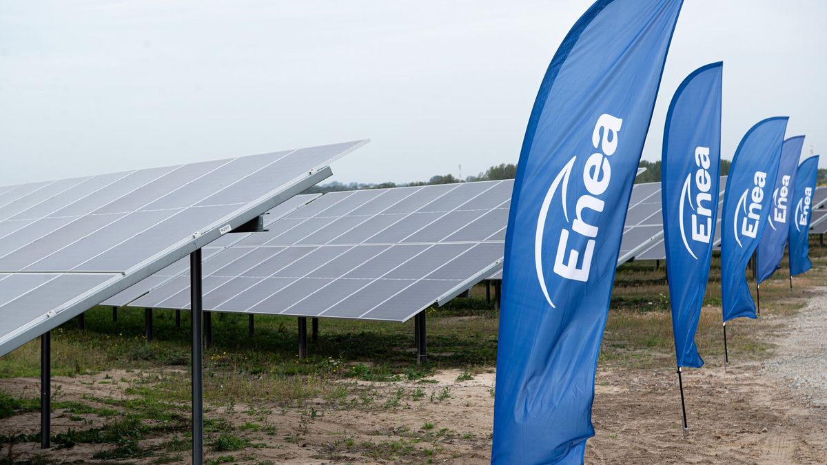 Farma fotowoltaiczna Genowefa, Enea
