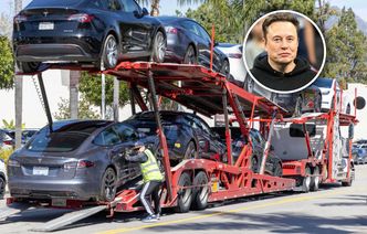 Sprzedaży Tesli pikuje. Są najnowsze dane