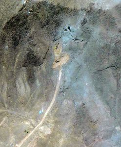 Gdzie jest irański uran? "Zabawa w kotka i myszkę"