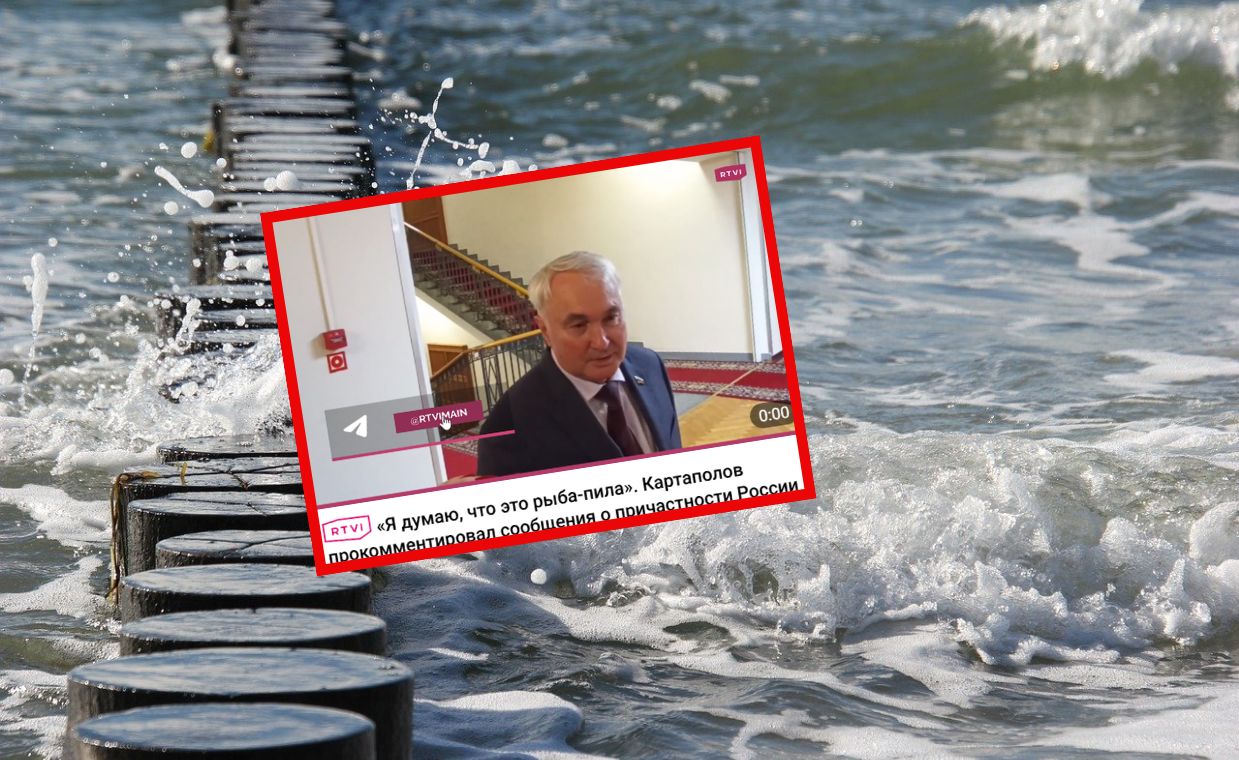 Baltic Sea cables cut: Russian hand or maritime mishap?