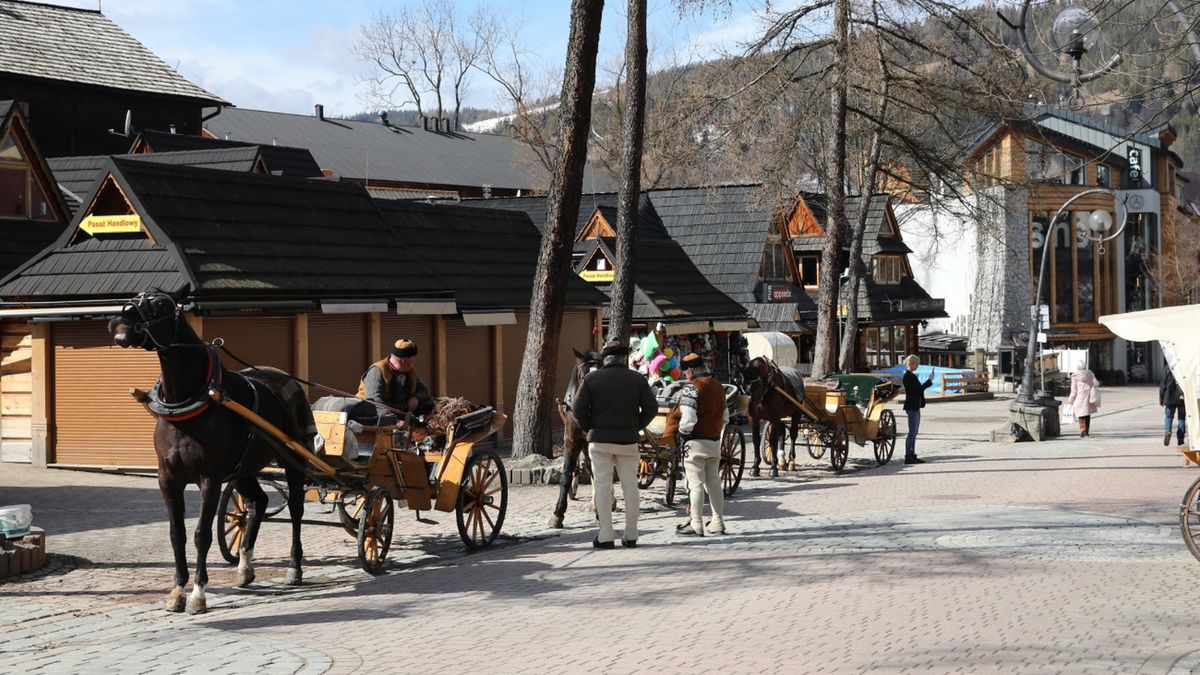 Spada populacja Zakopanego