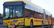 Włocławek: Przegubowce wracają na ulice. Nowe elektryki już na zajezdni