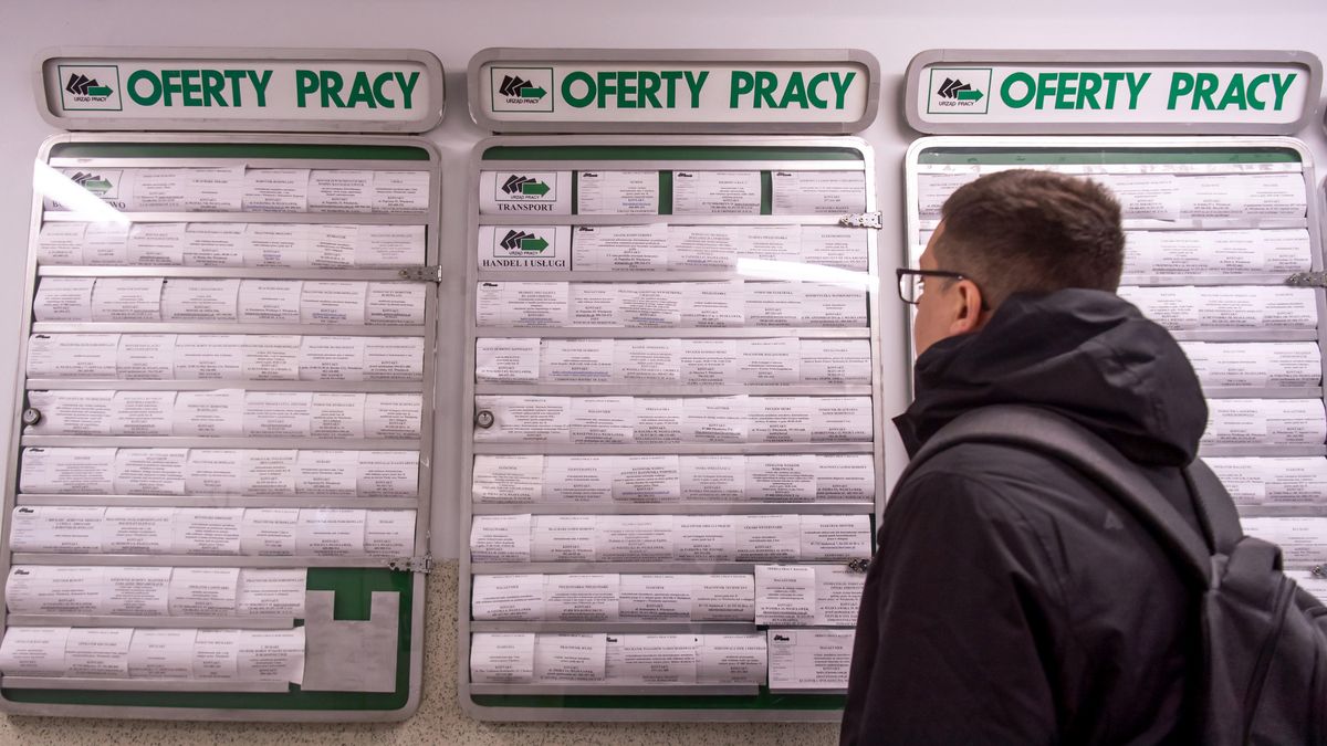 oferty pracy
W�oc�awek, 01.04.2022. Powiatowy Urz�d Pracy we W�oc�awku, 1 bm. (t�/ibor) PAP/Tytus �mijewski
Tytus �mijewski
aktywizacja zawodowa, bezrobocie, bezrobotny, gablota, ilustracja, oferta, oferty pracy, og�oszenia, og�oszenia o prac�, og�oszenie, Powiatowy Urz�d Pracy w Bydgoszczy, Powiatowy Urz�d Pracy we W�oc�awku, praca, PUP, rejestracja bezrobotnych, ul. Kapitulna 24, zatrudnienie, zmiana pracy